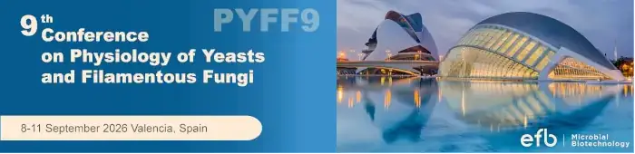 PYFF9 Banner webp version