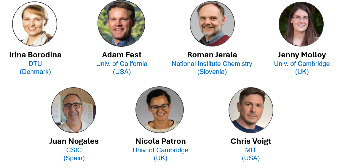 ASBE8 speakers