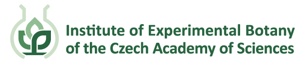 Institute of Experimental Botany of the Czech Academy of Sciences logo
