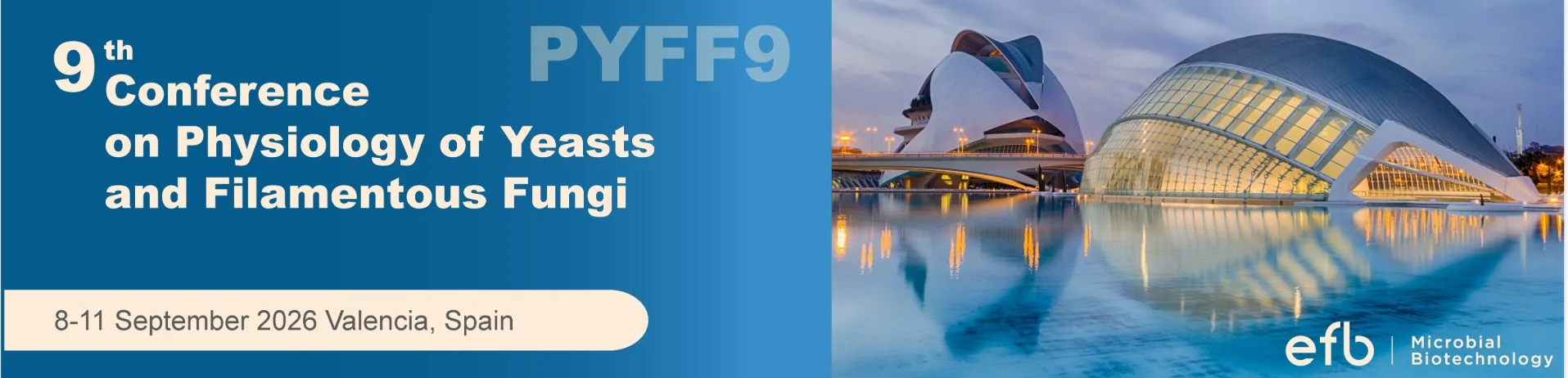 PYFF9 banner webp